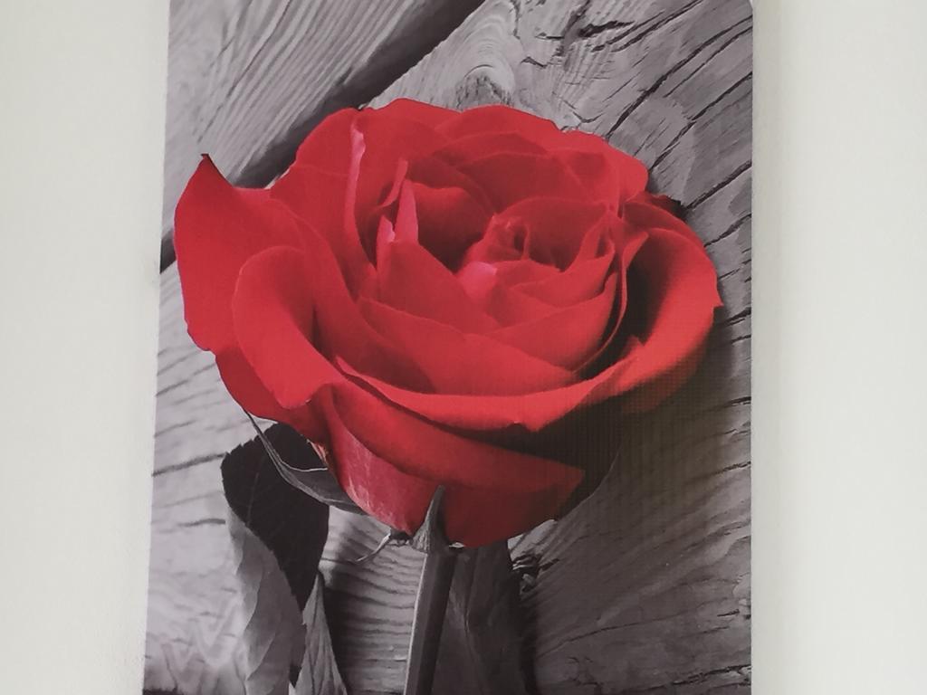 דירות סירקוזה Rosa Di Ortigia מראה חיצוני תמונה